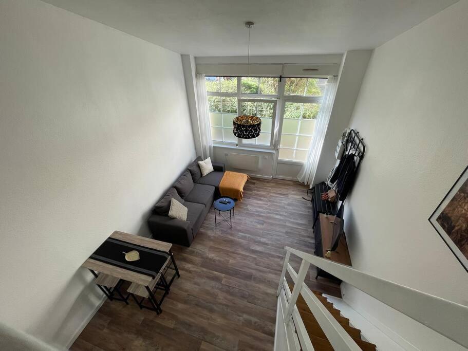 Apartment Le Cosy' Moderne - Proche Musee D'art Moderne Strasbourg